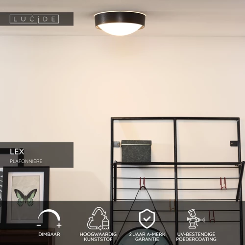 Lucide LEX - Plafonnière - Ø 25 cm - 1xE27 - Zwart - USP